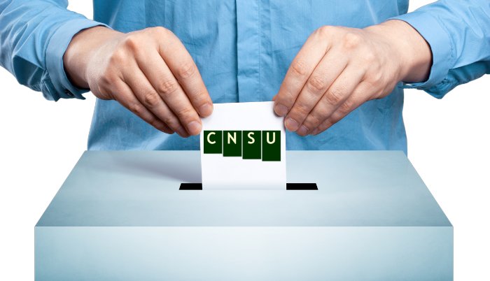 una persona che imbuca la cartella di voto nell'urna